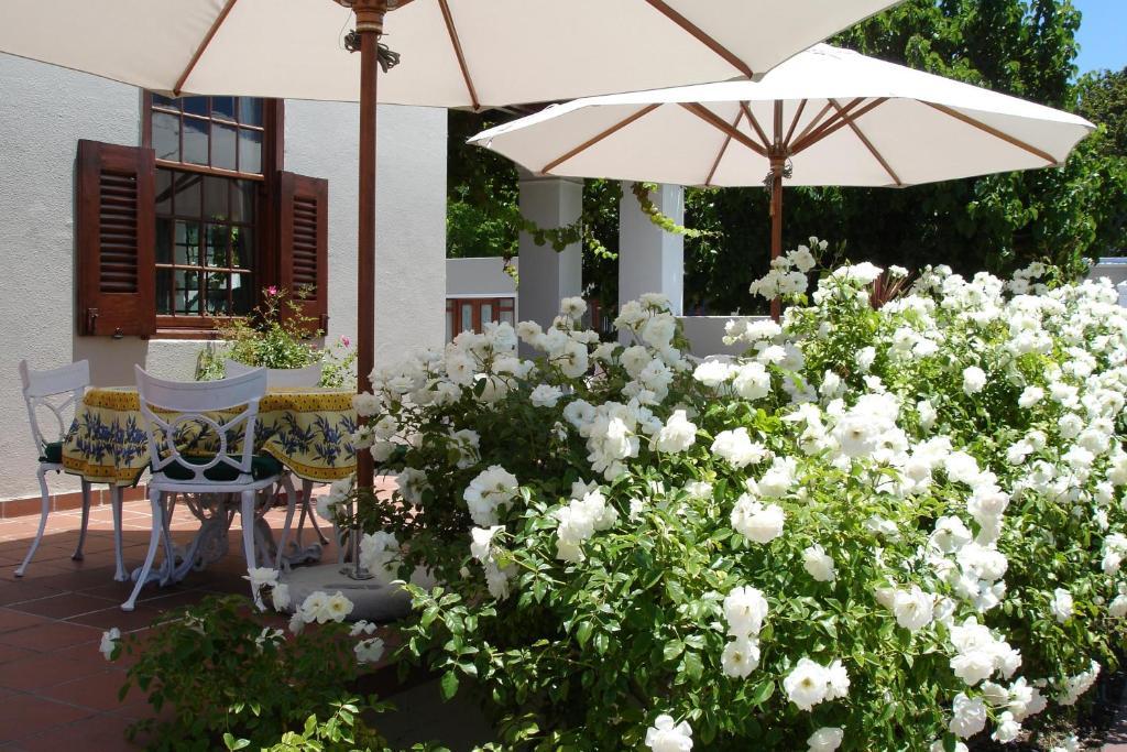 Glen Avon Lodge Boutique Hotel เคปทาวน์ ภายนอก รูปภาพ